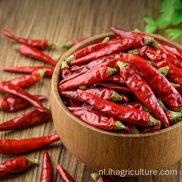 Groothandel Chinees Hot Selling Hot Red Chili Peppercorn